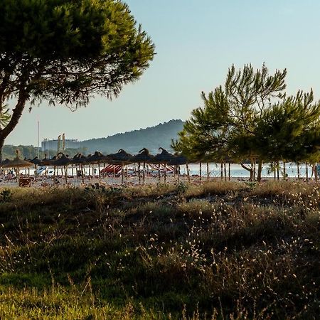Apartments Playa 알쿠디아 외부 사진