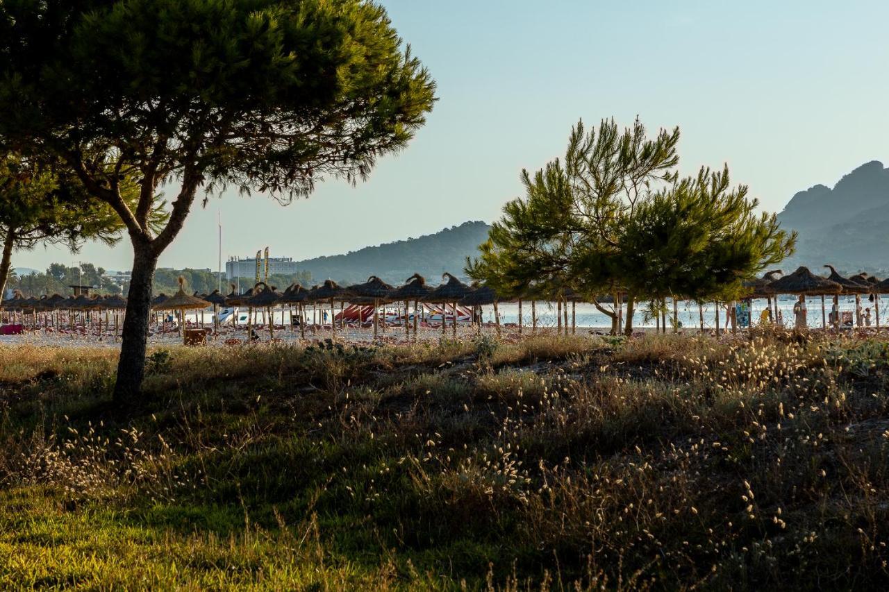 Apartments Playa 알쿠디아 외부 사진