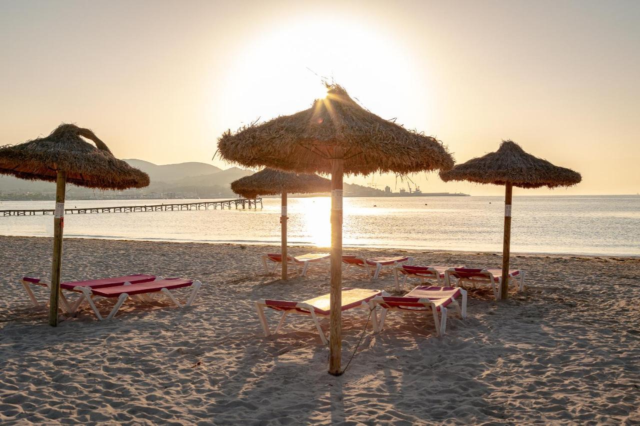Apartments Playa 알쿠디아 외부 사진